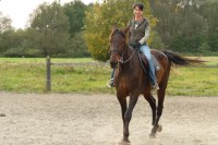 /album/fotogalerie/kone-006-jpg/